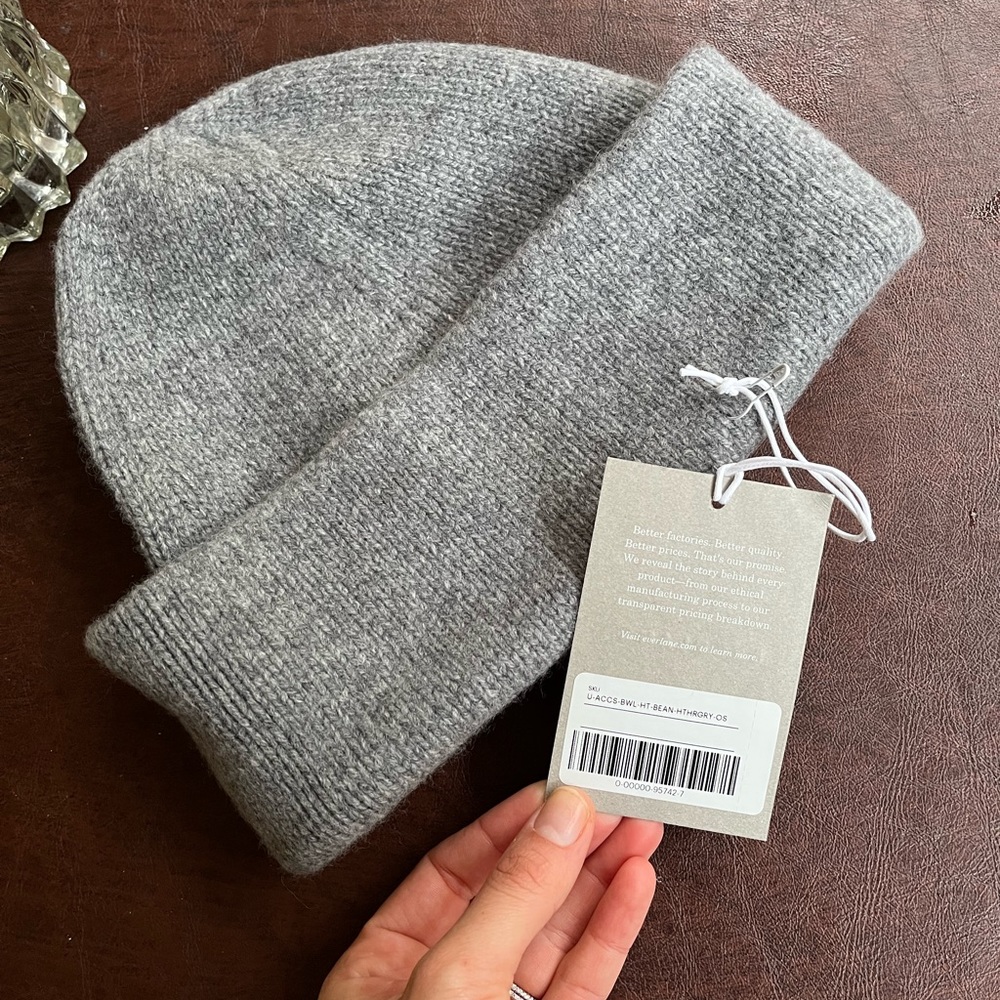 NWT Everlane Felted Merino Wool Beanie